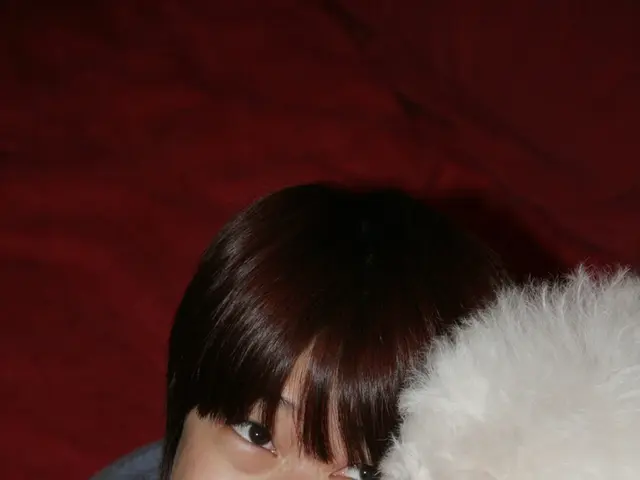 Navigating Mourning: Strategies for Farewell to Your Beloved Pet Companion