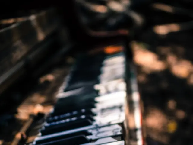 The Impact of Sound on Sprout Nutrition: Alteration of Plant Nutrient Composition by Music