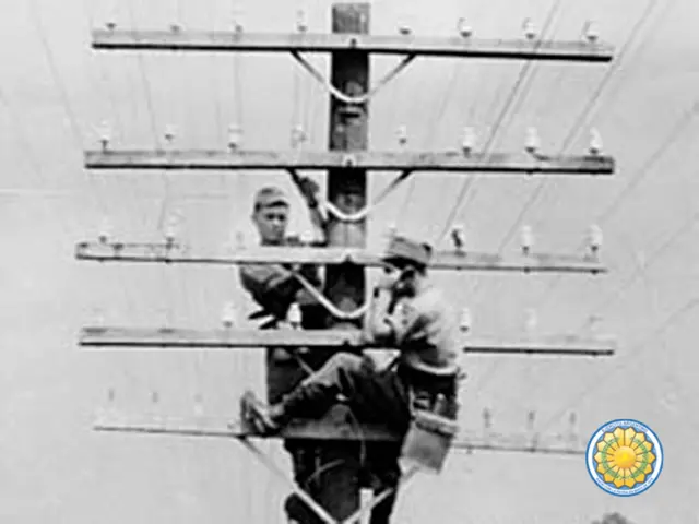 Services in Magdeburg-Süd will not provide consultation time in person or over the phone this...