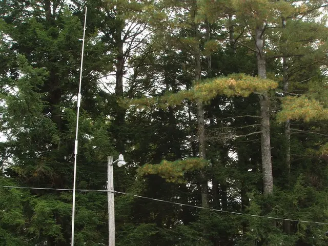 Rearranged caravan design: the L-shaped lounge setup, seldom seen - and it's likely due to distinct...