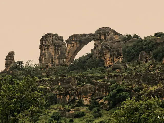 Investigation of Grant Gardner's Whereabouts Halts Temporarily