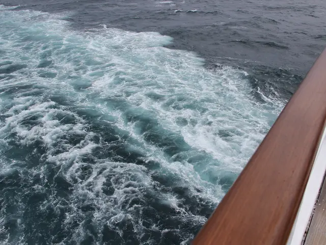 Ryan Reynolds and Hugh Jackman have taken on a fresh business partnership - check out the details.