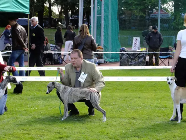 Open-air event documentation: "Mock Crucifixion" enacted in Tomsk