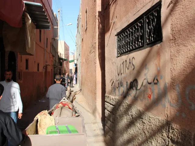 Examination of Literature | Gaza: Molded by Outside Influences, Inside Strength