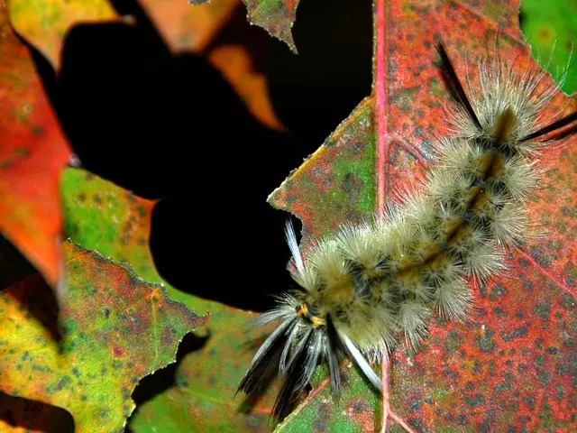 Will the new leadership in Delhi bring a fresh start for the bureaucrats? (Dilip Cherian)