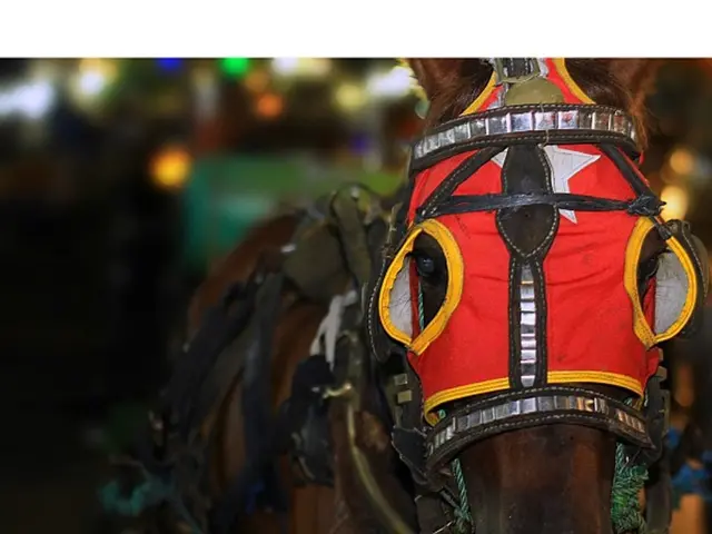 Actor Brad Pitt acquires $12 million LA estate from Dave Keuning, guitarist of the band The Killers