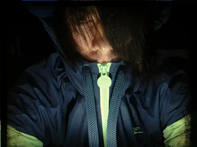 Teenage foreign student mysteriously vanished in Bamberg