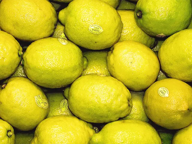 Cultivate Your Own Citrus: A Guide on Sprouting Lemon Seeds into a Full-Grown Tree