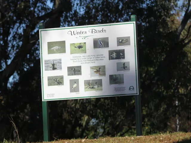 Thrilling Account of Scientists Reuniting an Extinct Avian Species with Its European Migration...