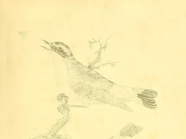 Animals cruelly mistreated in Fürth: accusations of animal abuse lead to a criminal investigation...