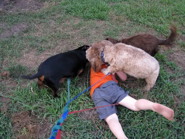 Ranking of Animal Bites by Their Powerful Jaws