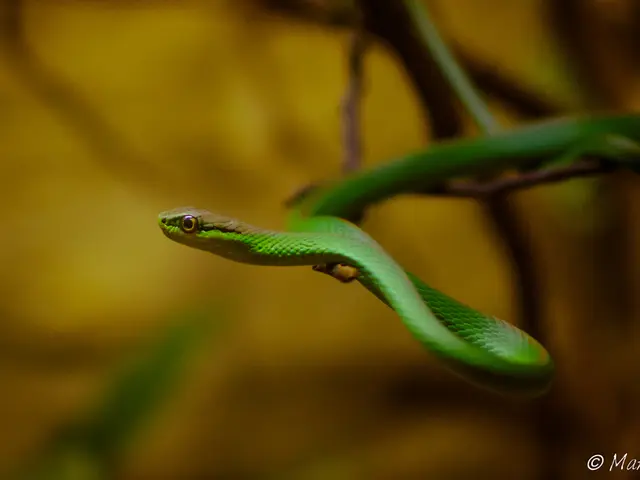 Idaho intentionally contaminated the Snake River in an effort to eliminate invasive mussels. Was...