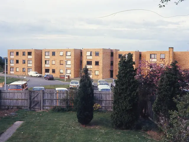 Unveiling the roots of life's existence and peering into energy's upcoming developments