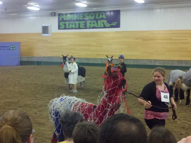 The persistent question: What compels animals to endure hardships?