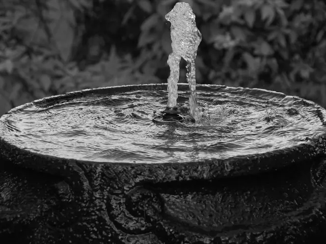 Urine-derived valuable resource secured in novel prototype invention