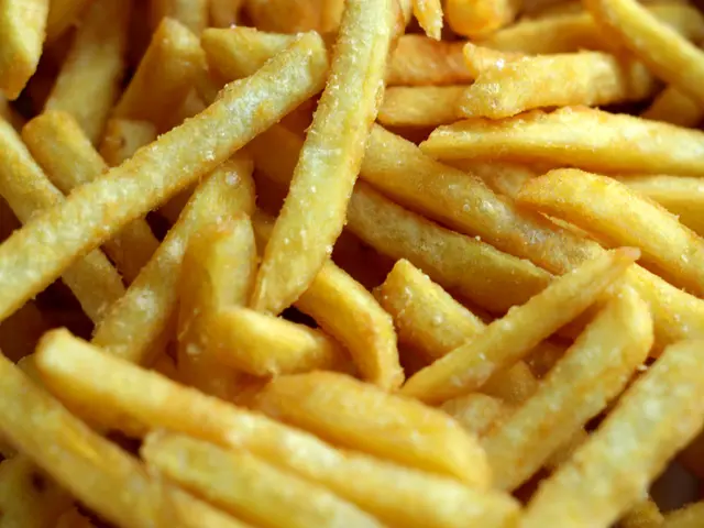 Air Fryer Potential Toxicity: Signs to Identify and Address