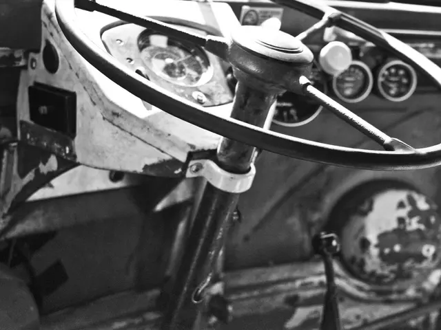 Government Agency Warns Public against Decorative, Shiny, and Risky Steering Wheel Embellishments...