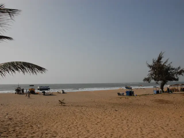 Add Sand Only