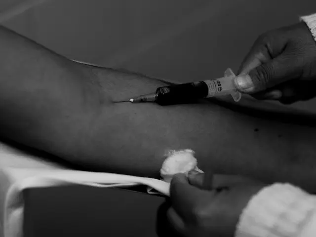 Race Equity Demand Met with Transplantation of Swine Organs