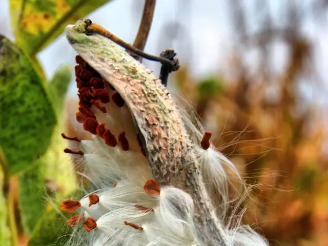 Textile export companies receive extension: DGFT increases EO duration, cotton taxes suspended...