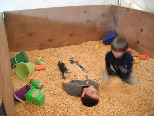 Illicit Sandbox Adventures: Examining the Inadequacy of Sandboxing Alone