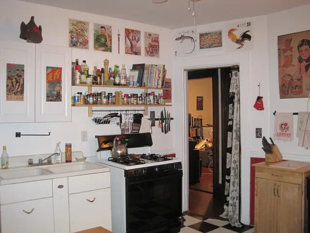 The Importance of Expert Gas Plumbing for a Safe Residential Environment