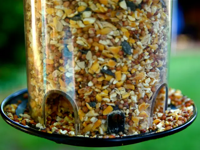 Employing Kefir as a Starter Culture for Homemade Yogurt