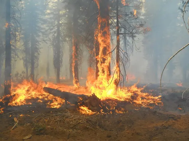Forest fires in Spain are reportedly approaching their final stages of extinguishment.