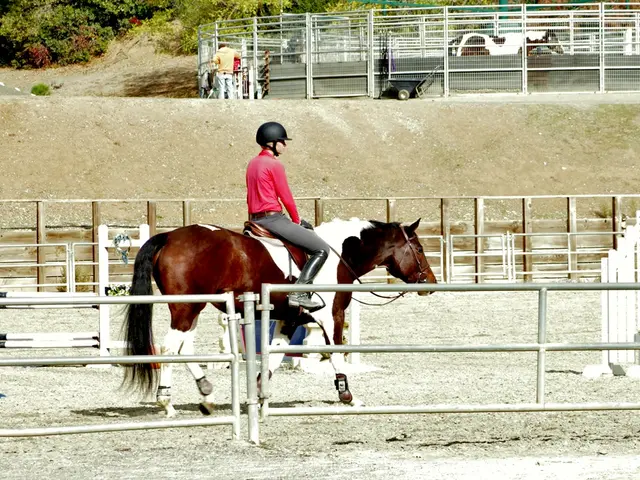 Car crash involving a horse in Ahlhorn, Poland, results in minor injuries to the equine