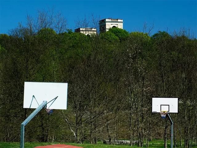 Expansive playground teeming with greenery on Hummelweg Avenue