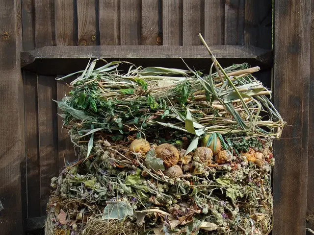 Guidelines for Addressing and Resolving Pungent Smells in Compost Piles