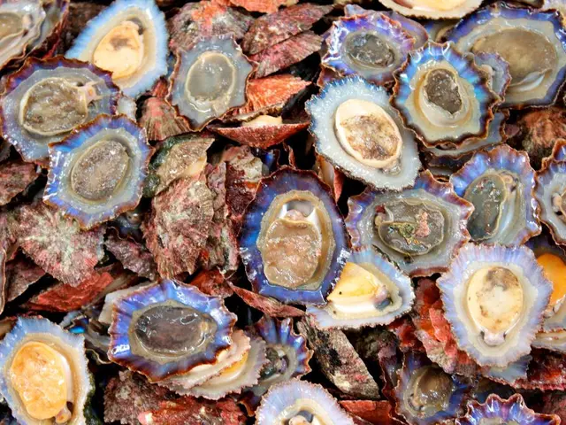 Genetic Factors Identified in Snails that Offer Resistance to Schistosomes