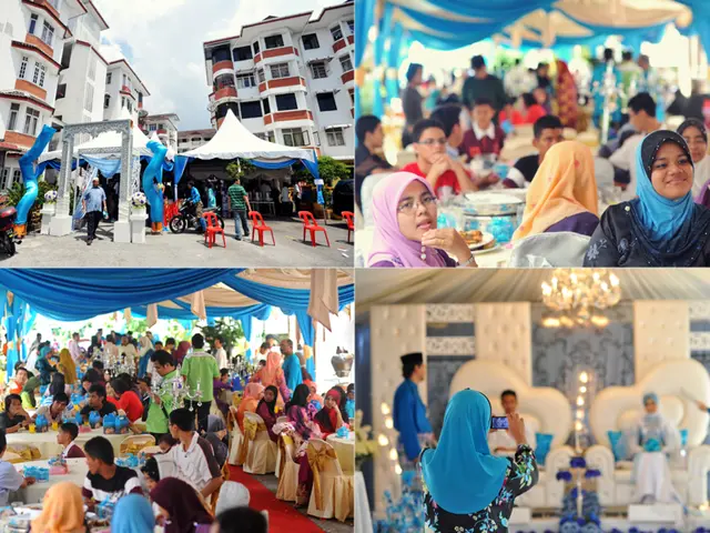 Māori Science and Design Fair Sponsored by PLD in Te Tūkohu