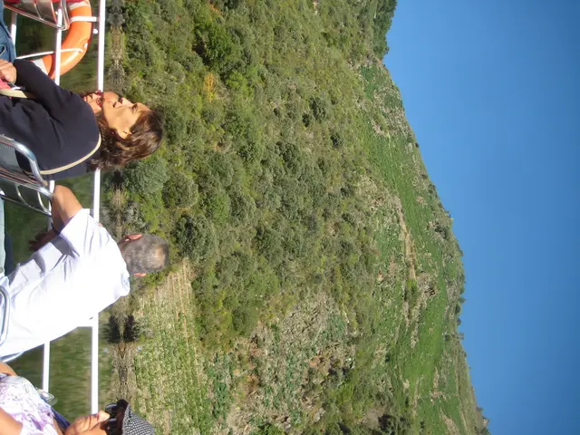 Unexpected summer fatigue emerges in the North Sea