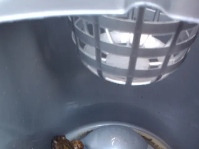 PhD researcher Alex Novarro: "Life spans a continuous range"