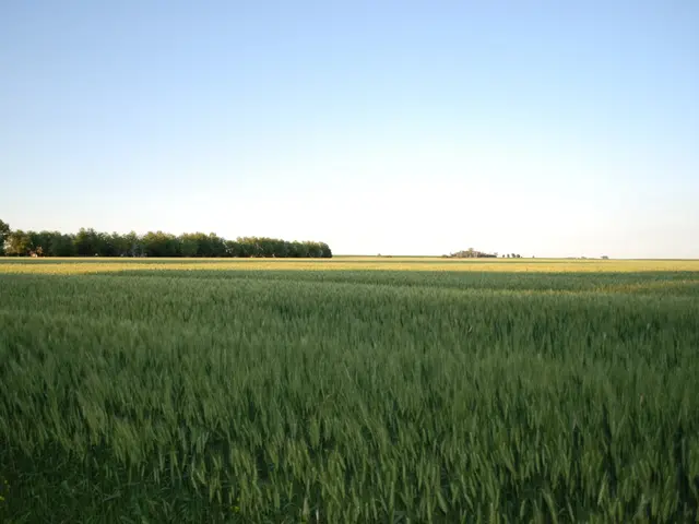 Discover 17 Notable Destinations in Ireland