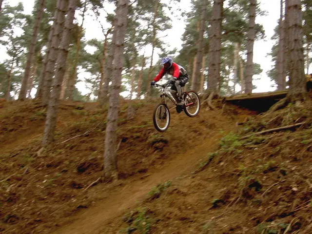 Strategies employed by top performers to exploit their nights effectively, ensuring progress...