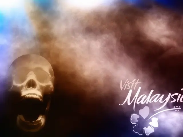 Altering Brain Neurons Might Hold the Solution for combating Gambling Dependency, According to...