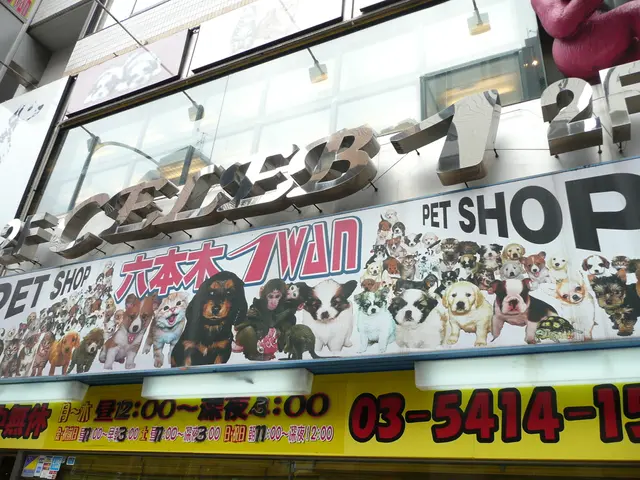 Ceramic artisans of Haferlmarkt show compassion by aiding a children's shelter