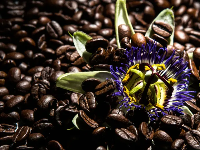 The global espresso coffee market is predicted to reach a staggering US$22.8 billion by the year...