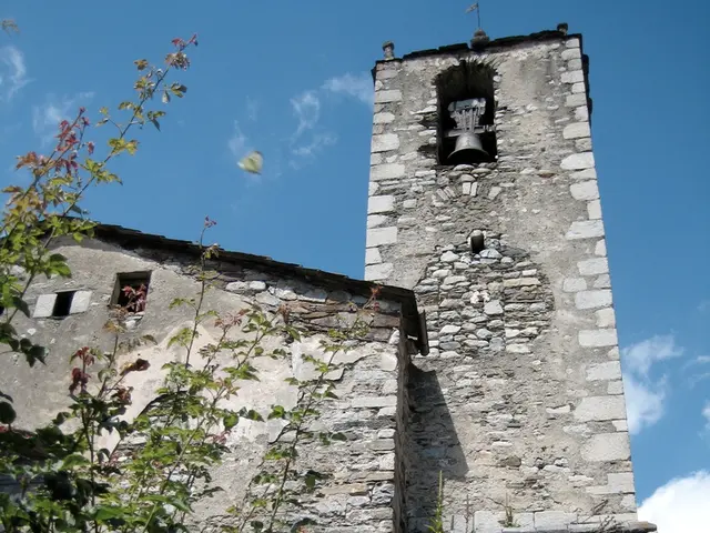 Garden-Led Meditation Lessons: Beginning Your Journey with 6 Easy Steps