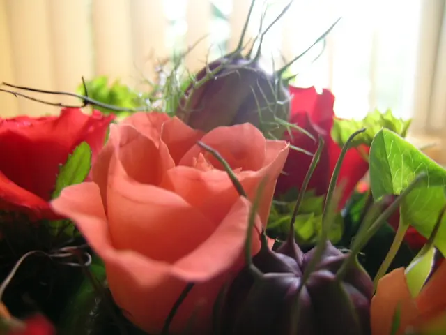 Whiskey Drink Recipe with Peach Flavor: Nature-Inspired Cocktail from the Garden