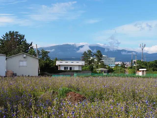 Solar endeavor powers residences of more than 110,000 households, setting the stage for climate...