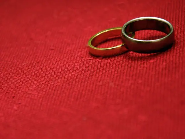 Disregards Traffic Signal at Crosswalk: Motorist Disregards Red Light at Intersection