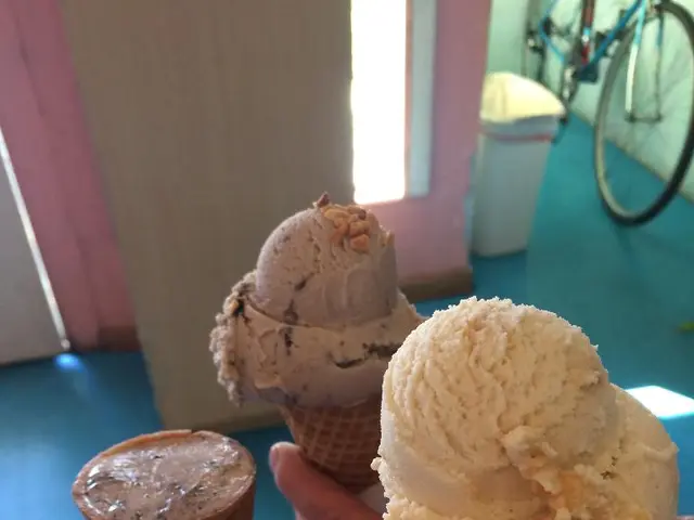 "ICE Düsseldorf, newly titled, revealed on the eve of the month of Rose"