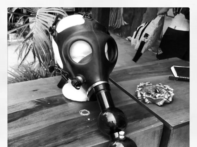 Outdoor Family-Friendly Plant Identification Games to Ignite Curiosity and Awe