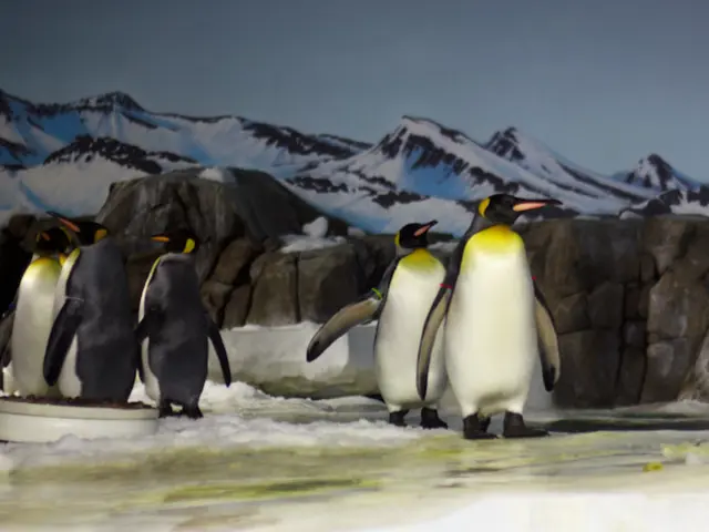 The Science on Sea-Level Rise: An Unbiased View