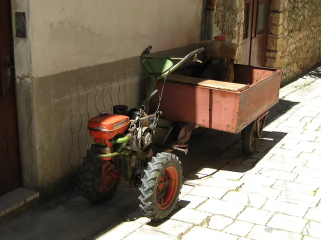 Lost senior citizen residing in Großenwiehe seeks public assistance; local authorities request...