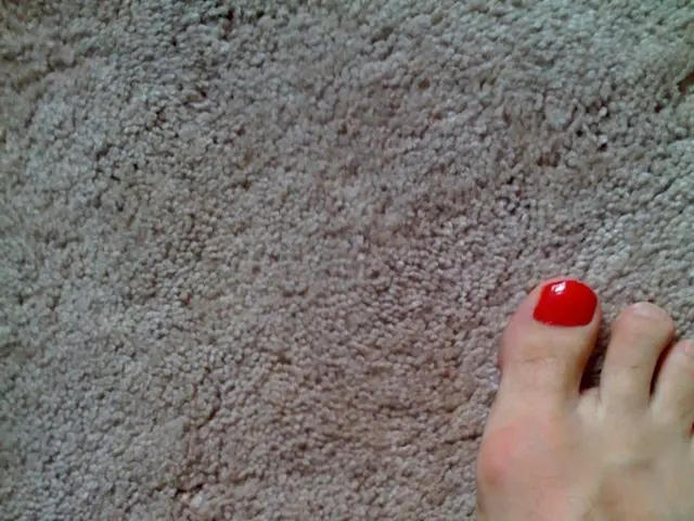 Event Happening on 2nd September: Info Session at Philippusstift