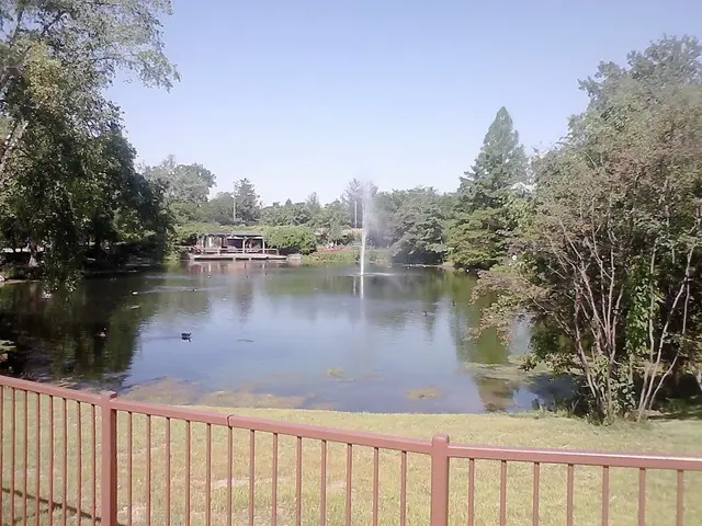 Crafting an Enduring Bond with the Natural World at Play and Learn Preschool